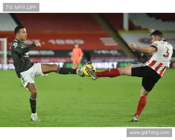 谢菲联英超回忆