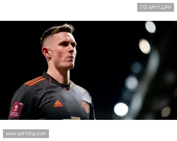 亨德森技术全面性