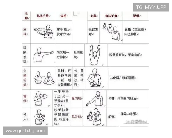 防守犯规的正确判罚标准与裁判手势解析